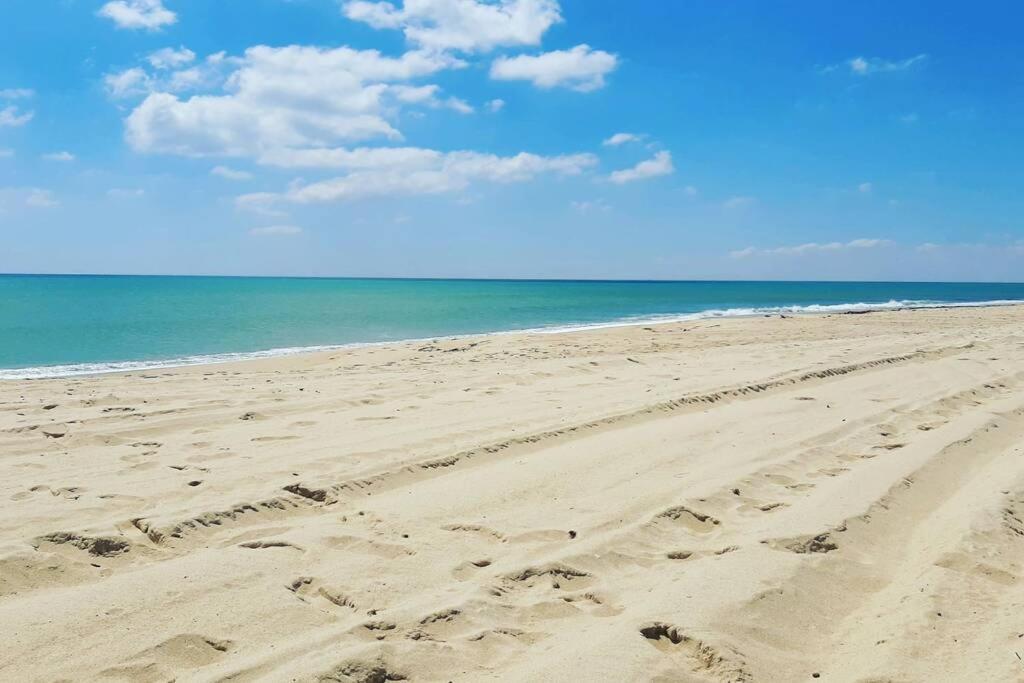 Un Appartement De Charme A Hammamet Kültér fotó